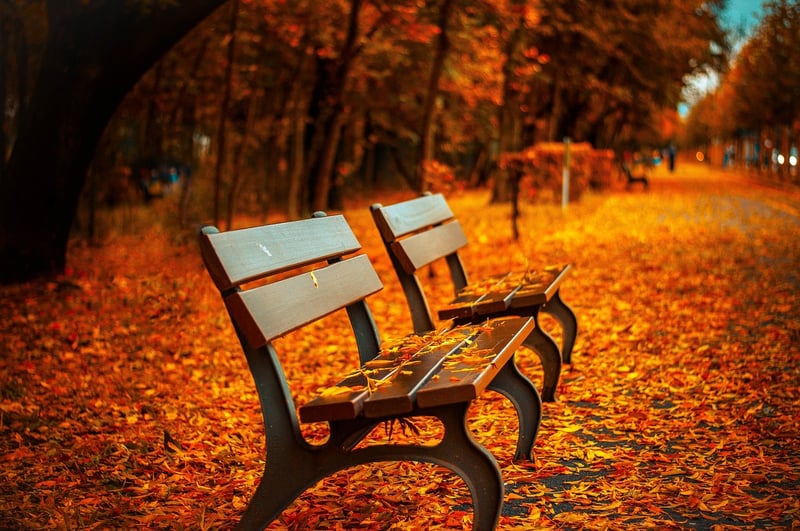 Fall Cozy Decor
